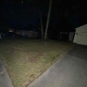 Leaf Removal by Double F Lawns reviewed on September 22, 2025