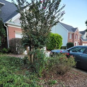 Bush Trimming by C&h lawn care reviewed on August 16, 2025