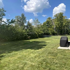 grass cutting by Fredrick Miller reviewed on November 24, 2023
