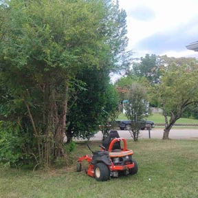 Bush Trimming by Only 1 Lawn Service reviewed on August 15, 2025