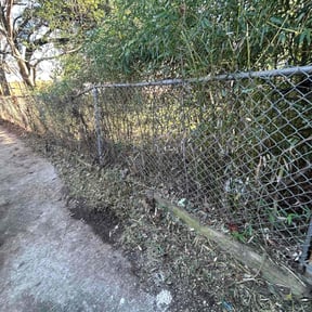 Bush Trimming by Crowder's lawn care reviewed on August 17, 2025