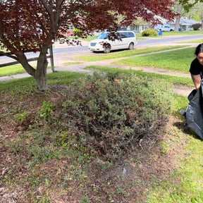 Bush Trimming by Montour Xpress reviewed on May 3, 2026