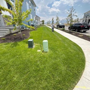 yard maintenance by Torres Lawn Care reviewed on August 15, 2025