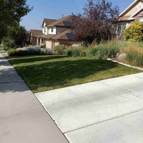 yard service by Dura Yard Service reviewed on August 21, 2025