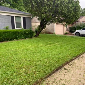 lawn maintenance by Pulgarcitos Lawns R&R reviewed on April 8, 2025