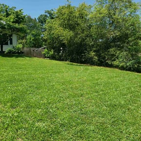 yard work by Attention To Detail Lawn Care Services reviewed on August 21, 2025