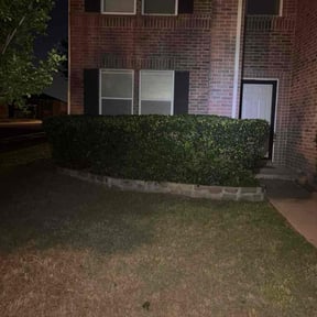 Bush Trimming by K.J Outdoor Services reviewed on May 10, 2026