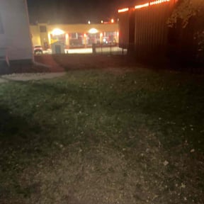 Leaf Removal by Earthly Services reviewed on November 5, 2025