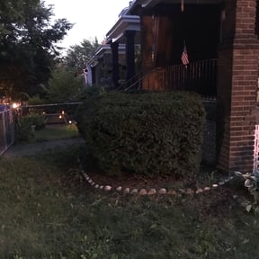 Bush Trimming by A&j lawn care service reviewed on August 19, 2025