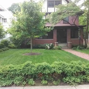 yard care by Outsiders Landscape Co. LLC reviewed on August 17, 2025