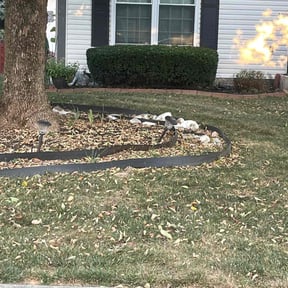 Bush Trimming by Mpower Inc reviewed on November 18, 2025