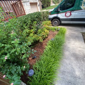 Bush Trimming by CnA Lawn and landscape reviewed on August 15, 2025