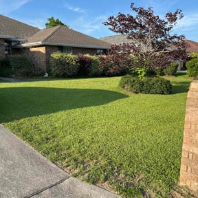 yard maintenance by A Couple of Guys reviewed on August 20, 2025