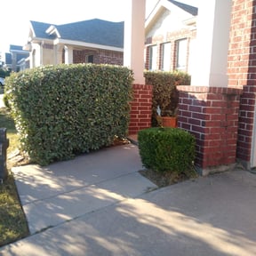 Bush Trimming by USA Lawncare Inc reviewed on August 15, 2025