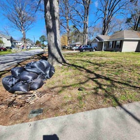 Leaf Removal by Back To Eden Lawn Service reviewed on September 24, 2025