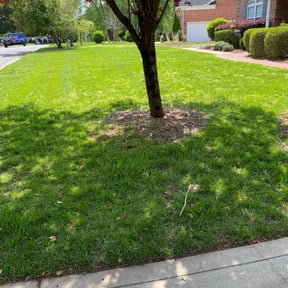 landscape maintenance by Green T&#039;s Lawn &amp; Landscape reviewed on April 21, 2025