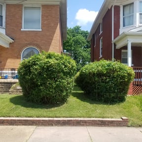 Bush Trimming by BERGEN LAWNS & LANDSCAPING LLC reviewed on August 20, 2025