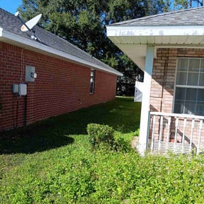 Bush Trimming by All-in-1 lawn care reviewed on October 24, 2025