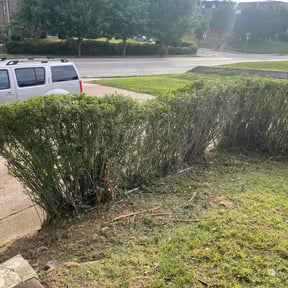 Bush Trimming by Fuqua Property Solutions, LLC reviewed on August 16, 2025