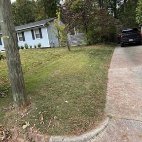 Leaf Removal by Beyond Clean reviewed on November 8, 2025