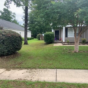 Bush Trimming by Gary Evans Lawn and Tree Service reviewed on August 18, 2025