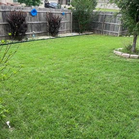 landscaping by Mora Brothers Tree and Landscaping reviewed on November 18, 2025