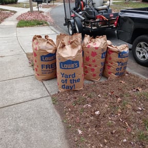 Leaf Removal by MEA Lawncare reviewed on September 21, 2025