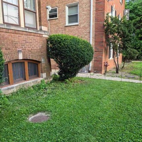 Bush Trimming by Baldwin Premium Lawn Care reviewed on August 16, 2026