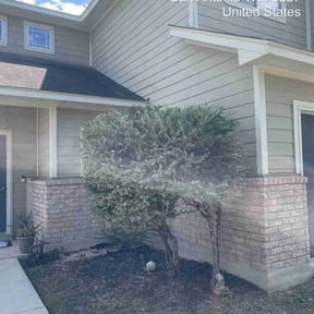 Bush Trimming by Gio Landscaping reviewed on November 19, 2025