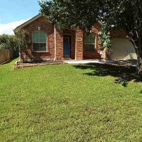 yard care by Please Plant Me Mowing Service reviewed on August 19, 2025