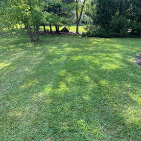landscaping by Big City Lawn Care LLC reviewed on August 20, 2025
