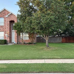 Bush Trimming by MrRuiz reviewed on November 18, 2025