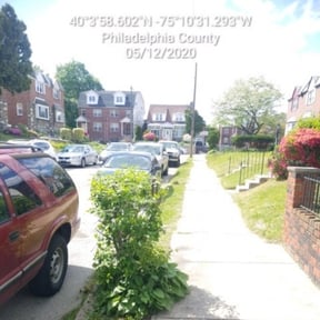 Bush Trimming by Elogantlawn, llc reviewed on July 4, 2025