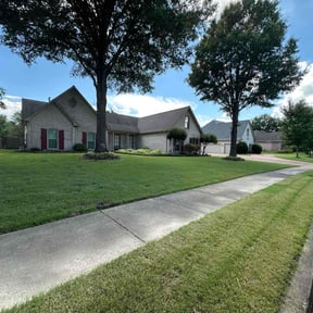 turf care by A-1 Curb Appeal reviewed on August 20, 2025