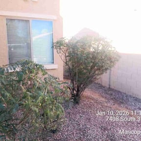 Bush Trimming by Advanced Agricultural Solutions reviewed on March 1, 2026