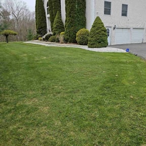 landscape maintenance by The garden friends reviewed on August 19, 2025