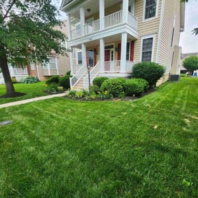 gardening service by Lawn Junkie reviewed on August 19, 2025