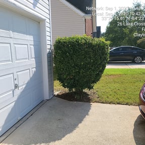 Bush Trimming by Roth Mowing reviewed on August 16, 2025