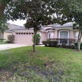 Bush Trimming by Jds Landscaping Services LLC reviewed on August 15, 2025