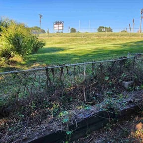 Bush Trimming by BENNETT LINKS SOLUTIONS reviewed on August 21, 2025