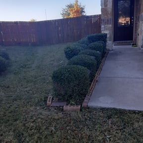 Bush Trimming by 5280 Lawn Care reviewed on August 19, 2025