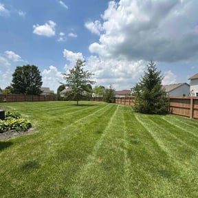 yard maintenance by Green Flash Lawn Care LLC reviewed on August 20, 2025