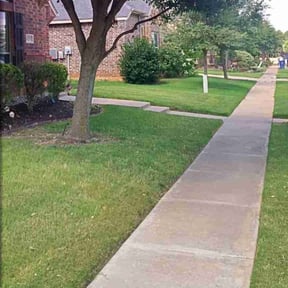 yard work by Mow Pro's llc reviewed on December 28, 2025