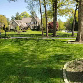 landscaping by Bright Eyed Barber Co. reviewed on August 21, 2025