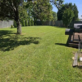 lawn maintenance by Torres Transformations reviewed on June 12, 2025