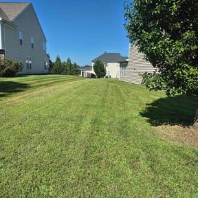 residential landscaping by Like My Lawn reviewed on November 20, 2025