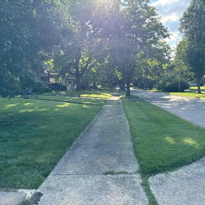 yard work by M&M Improvements reviewed on August 20, 2025
