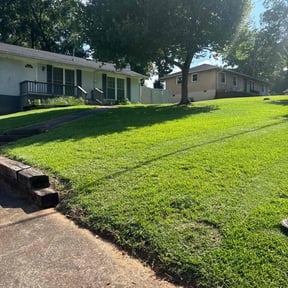 yard care by Sons Superior LLC reviewed on August 19, 2025
