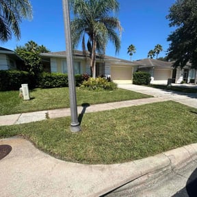 turf care by C.A.N. Lawn services llc reviewed on August 15, 2025