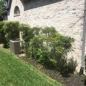 Bush Trimming by Long Grass lawn care reviewed on August 17, 2025